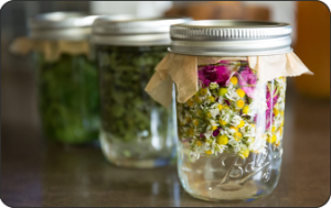 Les cosmétiquess d'Esprit des Simples