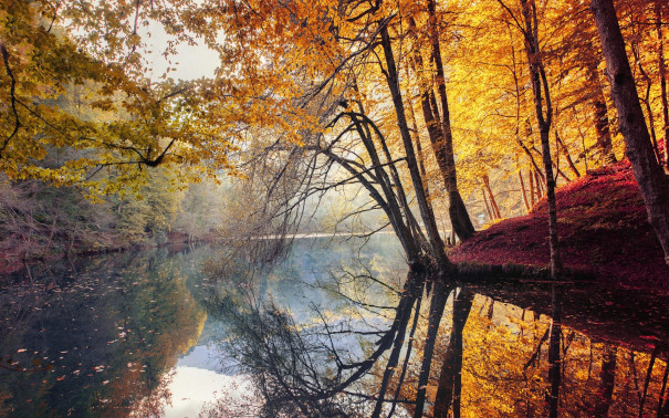 Lumière de l'Eau d'automne