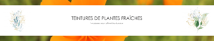 Teinture de Plantes fraiches bandeau