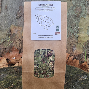 Tisane Dumannios automne