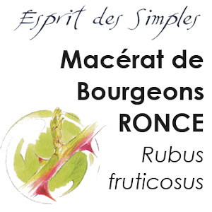 Macérat de Bourgeons Ronce