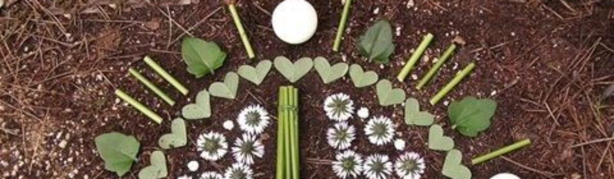 Imbolc : traditions, rituels et plantes alliées !