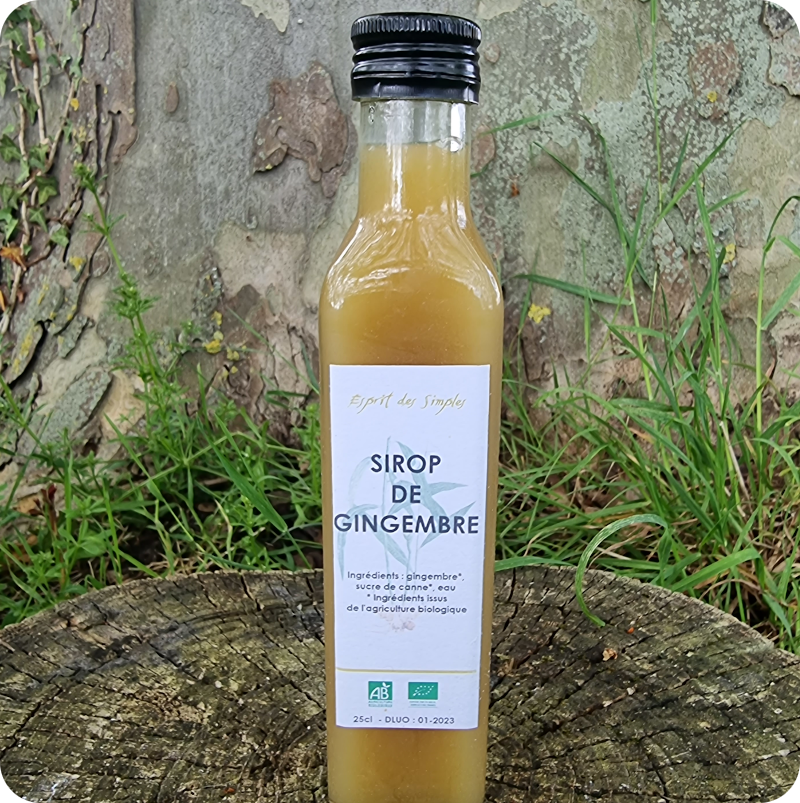 Sirop Gingembre • Esprit des Simples