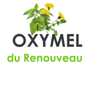 Oxymel de Printemps