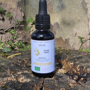Gemmo Lilas