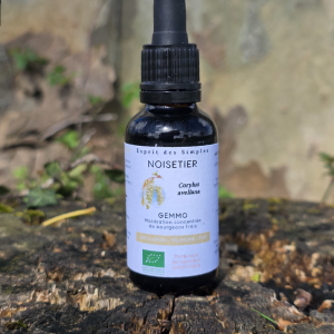 Gemmo Noisetier