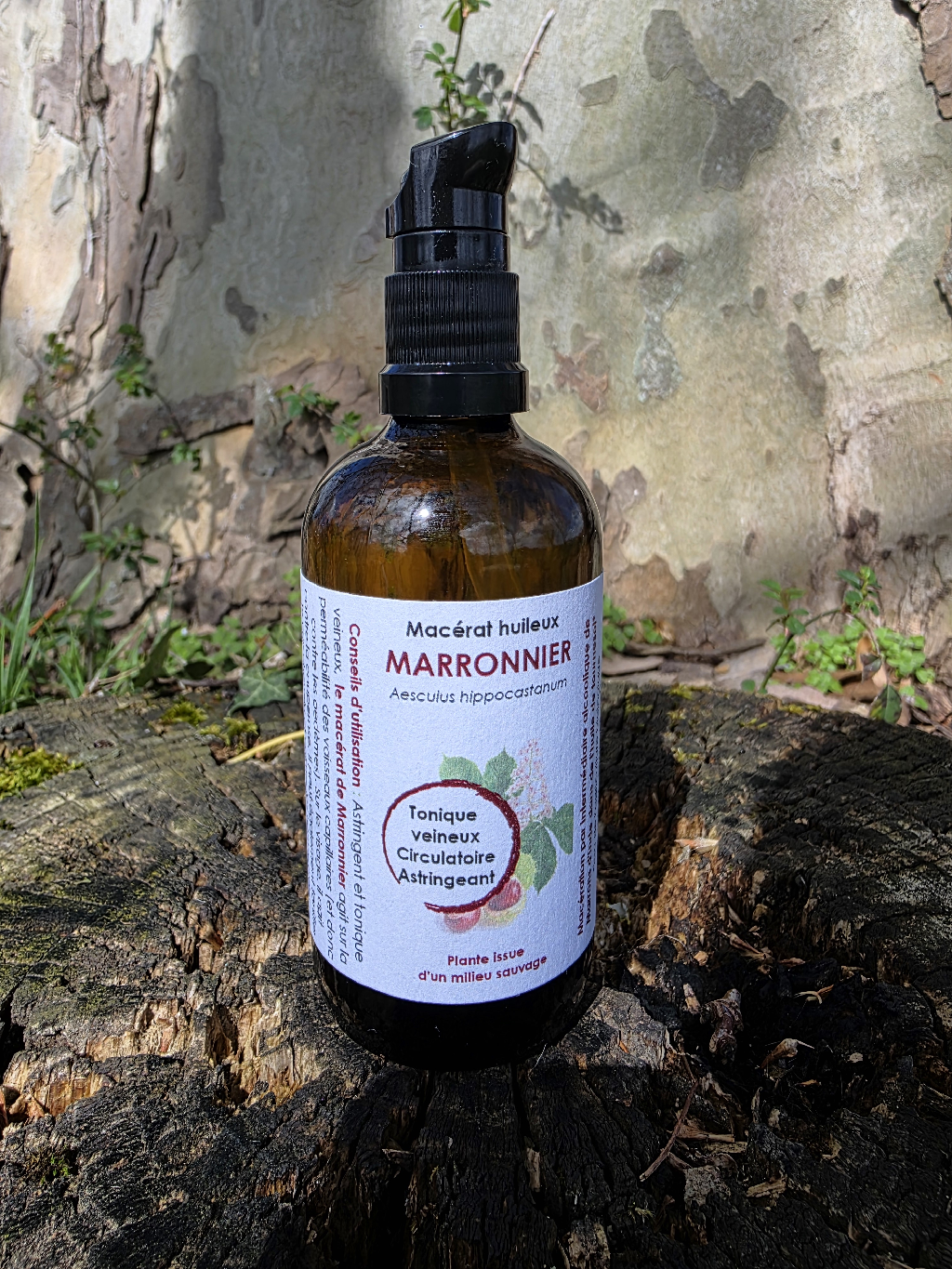 Huile Marronnier