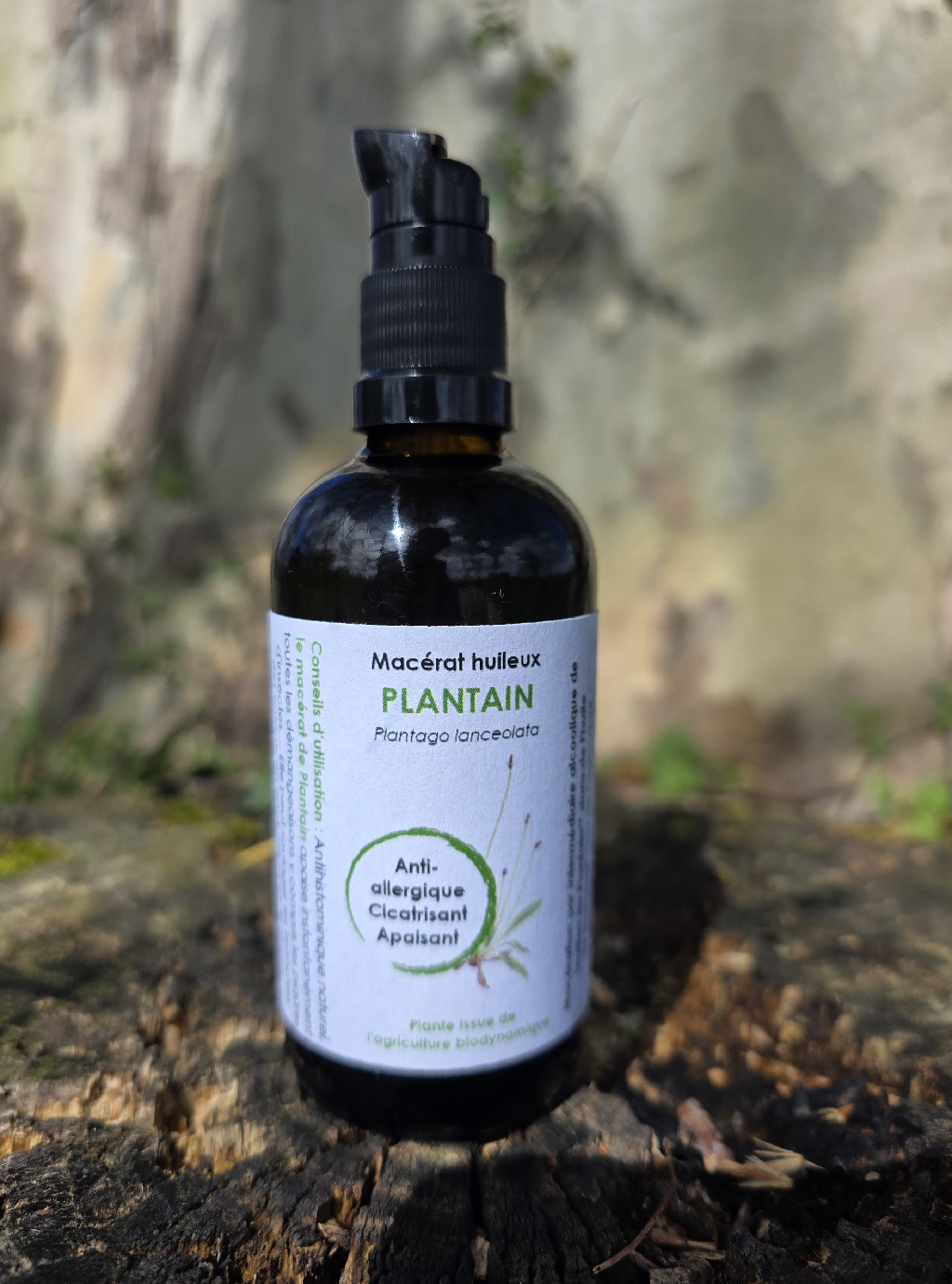 Huile Plantain