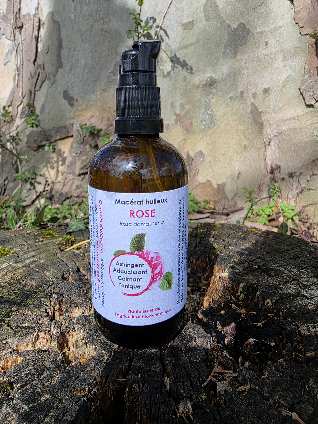 Macérat solarisé de rose