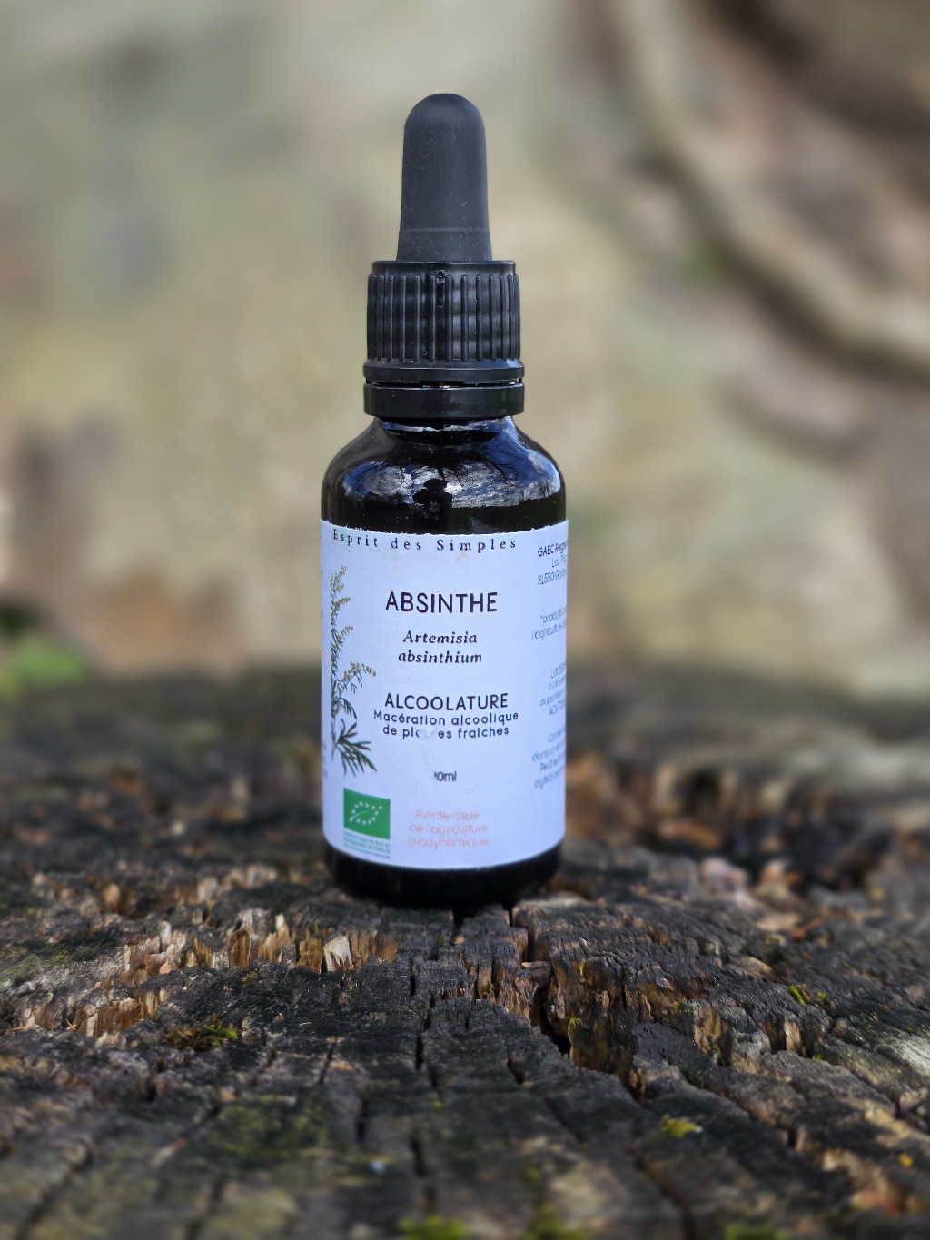 Alcoolature Absinthe