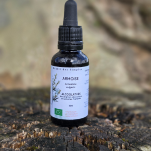 Alcoolature Armoise