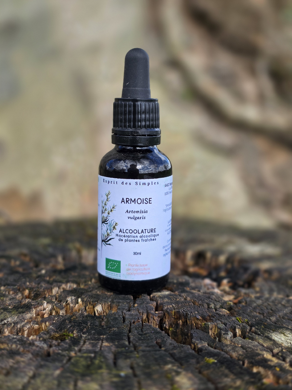 Alcoolature Armoise