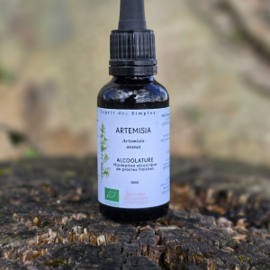Alcoolature Artemisia