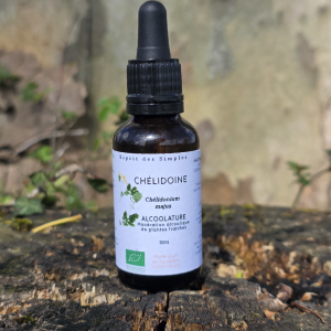 Alcoolature Chélidoine