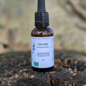 Alcoolature Chicorée
