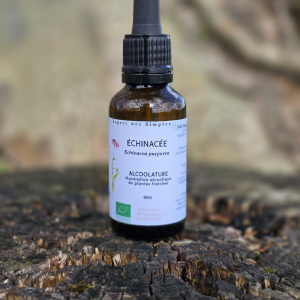 Alcoolature Echinacée