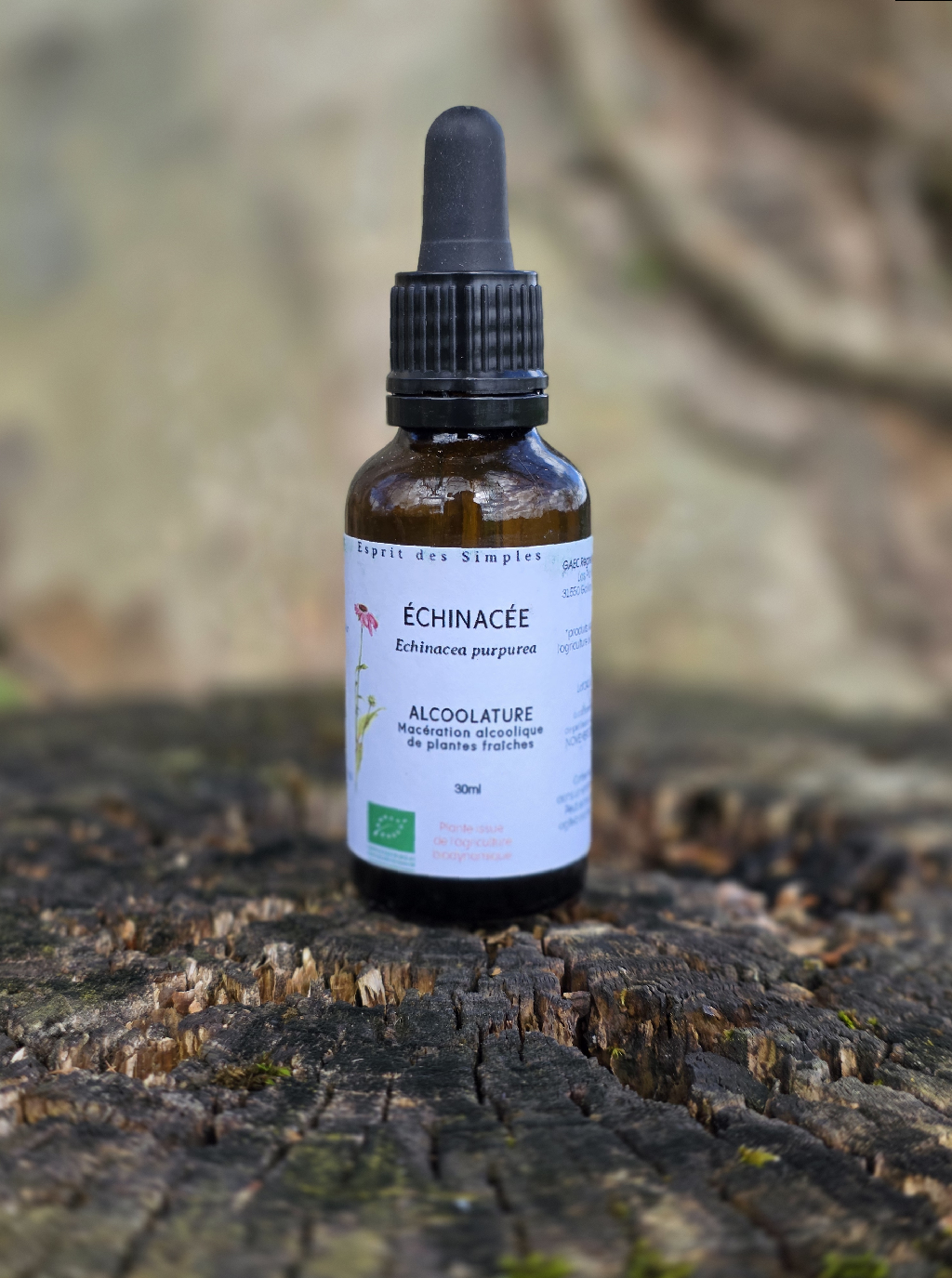 Alcoolature Echinacée
