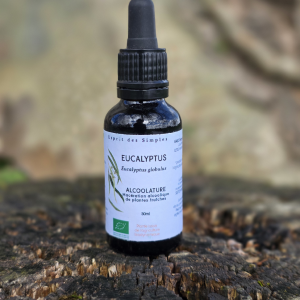 Alcoolature Eucalyptus