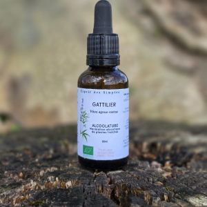 Alcoolature Gattilier