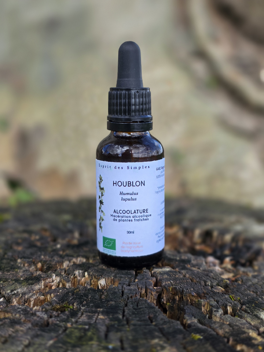 Alcoolature Houblon