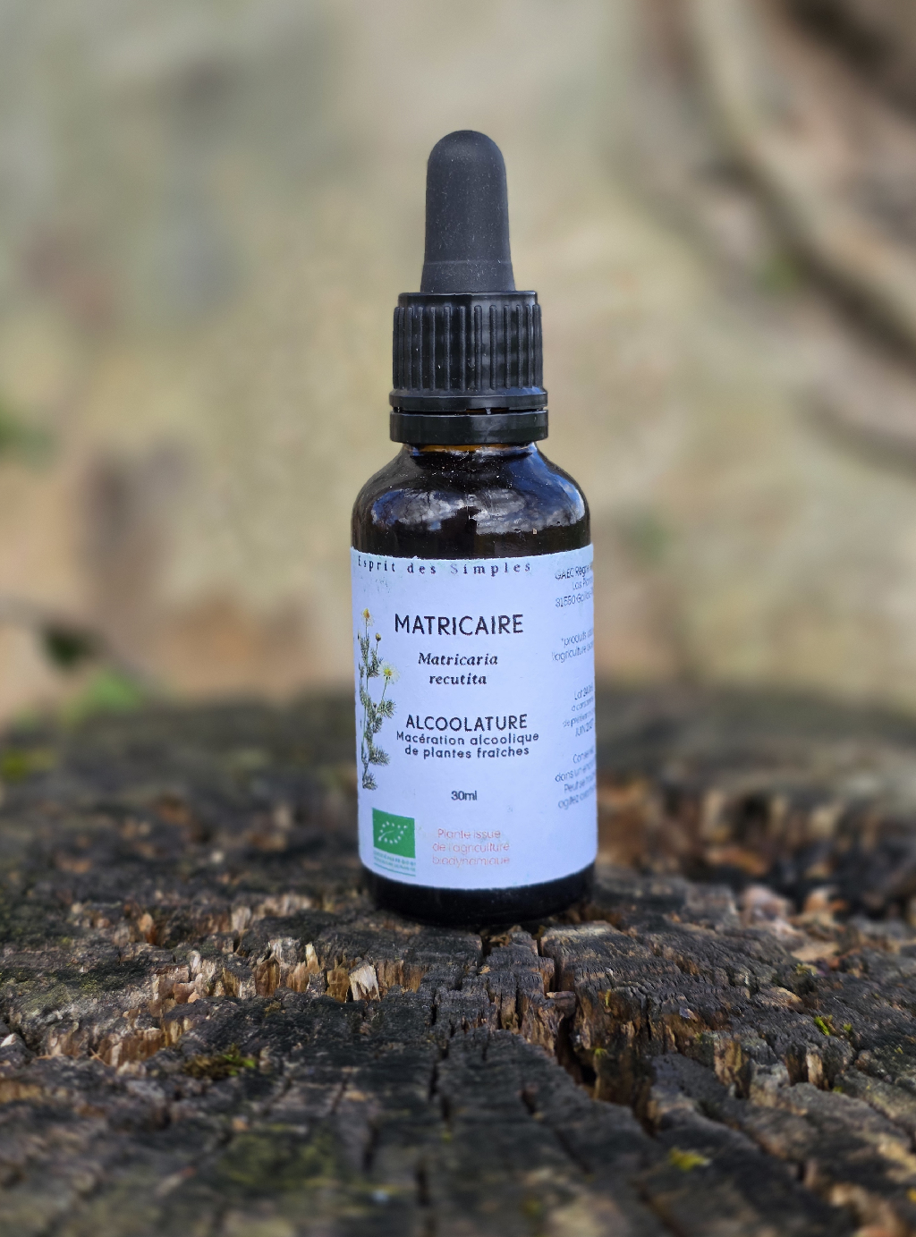 Alcoolature Matricaire