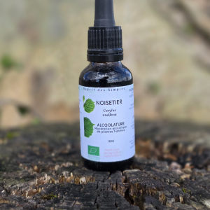 Alcoolature Noisetier