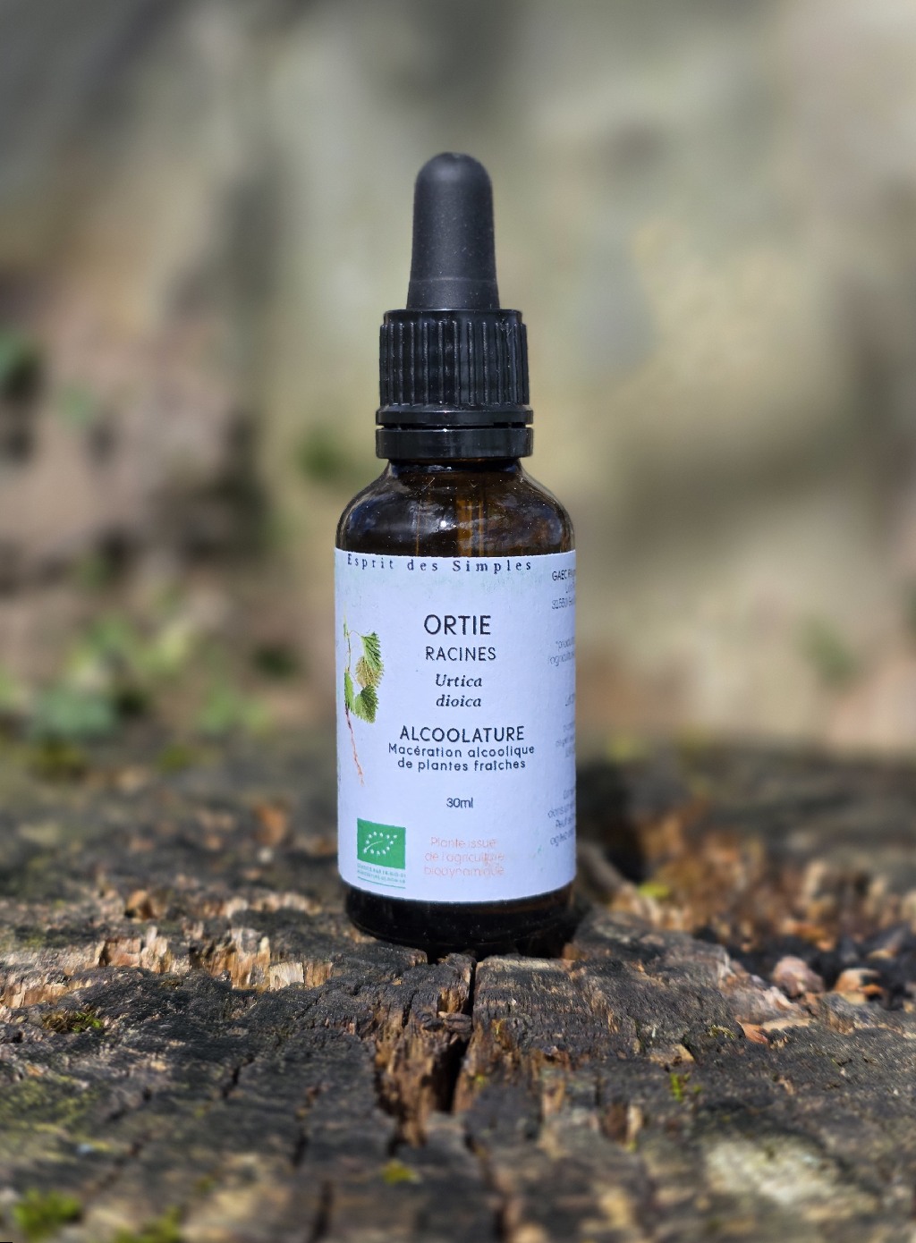 Alcoolature Ortie racines
