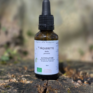 Alcoolature Pâquerette