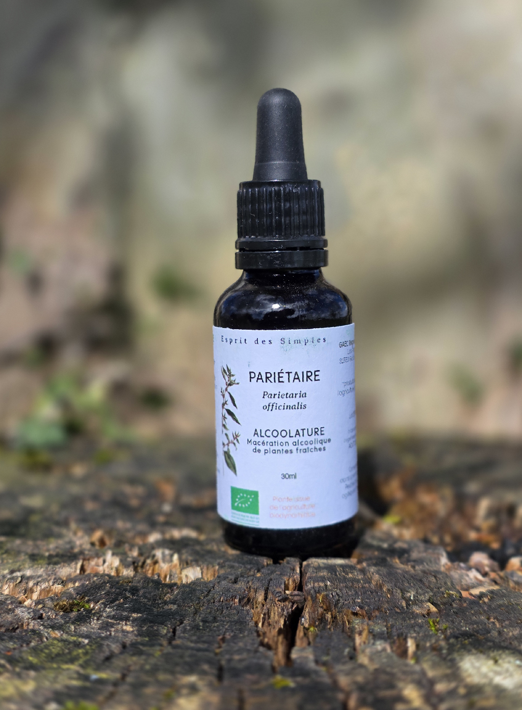 Alcoolature Pariétaire