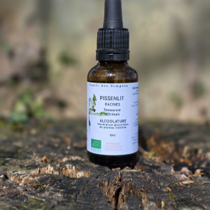 Alcoolature Pissenlit