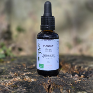 Alcoolature Plantain