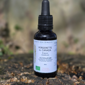 Alcoolature Vergerette du Canada